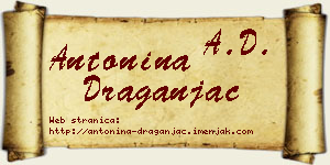 Antonina Draganjac vizit kartica